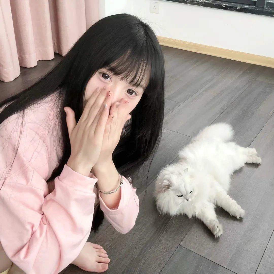 堪萨斯小猫